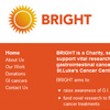 Bright Research